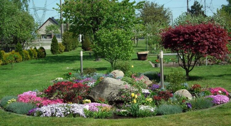 duże kamienie w ogrodzie