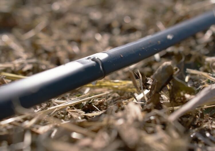 linia kroplująca podczas pracy