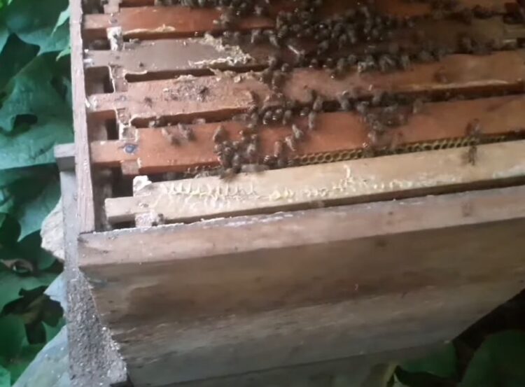 bardzo prosty ul wykonany ręcznie