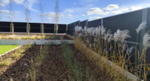 Ekran akustyczny w ogrodzie – skuteczność, estetyka i zgodność z przepisami